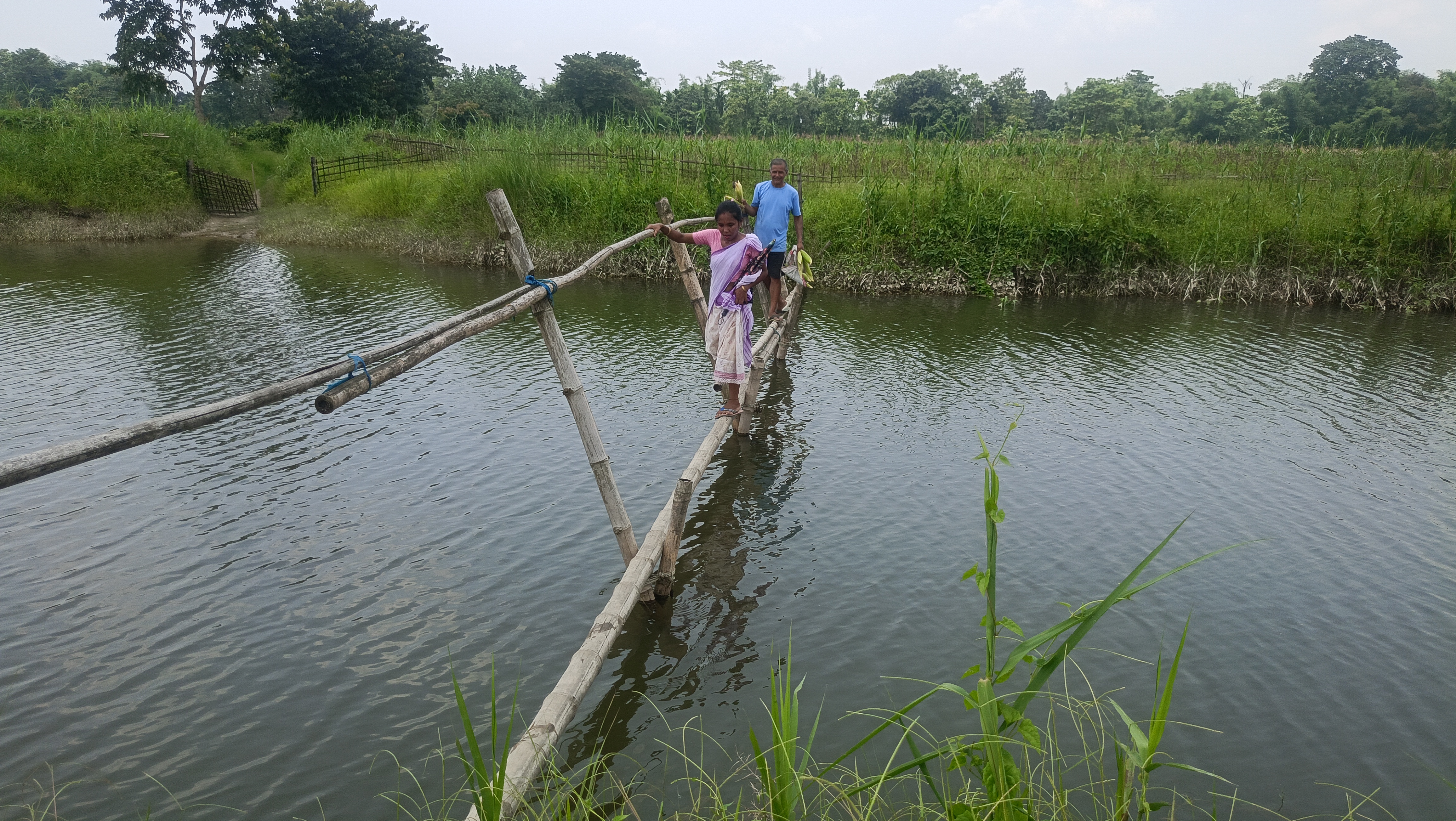 Farmers self-reliant through Maize cultivation