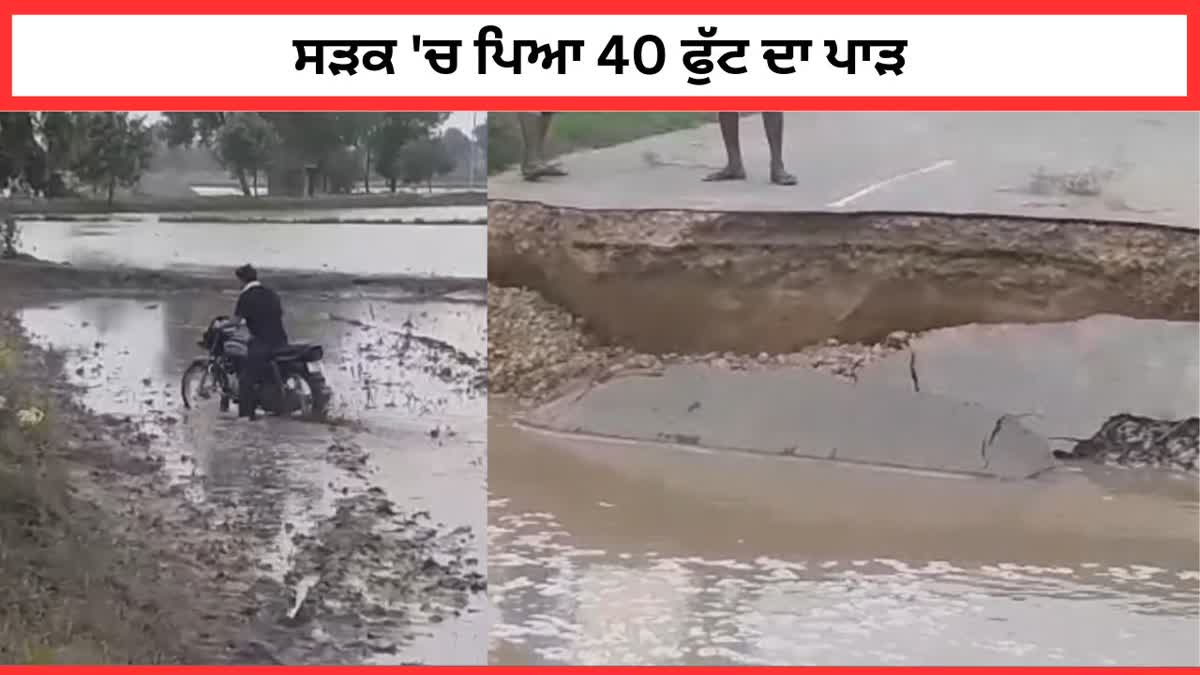 Rain In Moga, Punjab