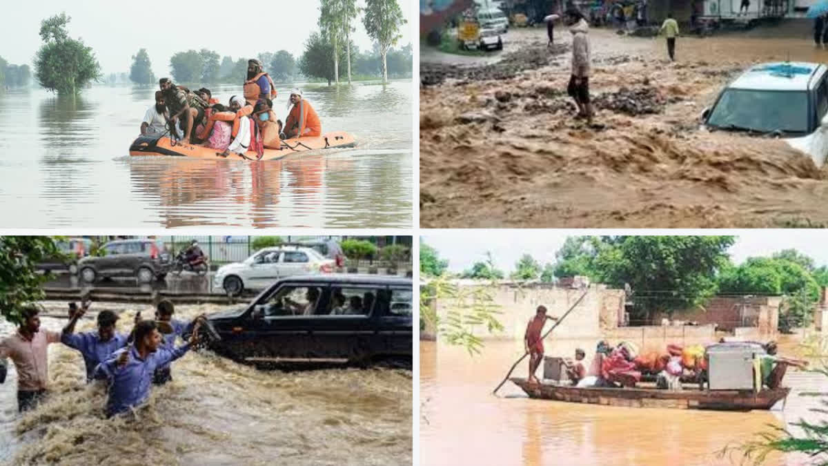 Punjab hit by floods again after 35 years! special report