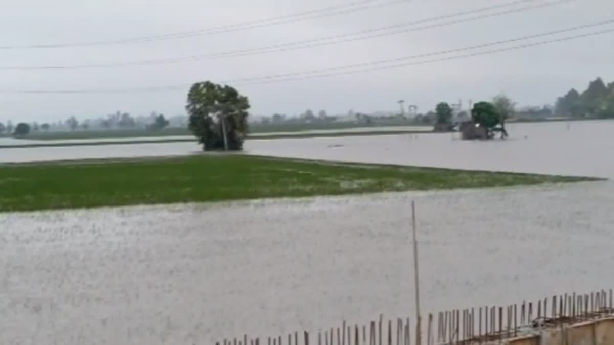 rain in karnal