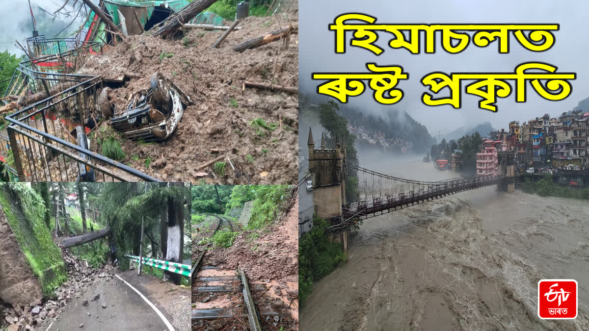 Heavy Rains Affected Himachal