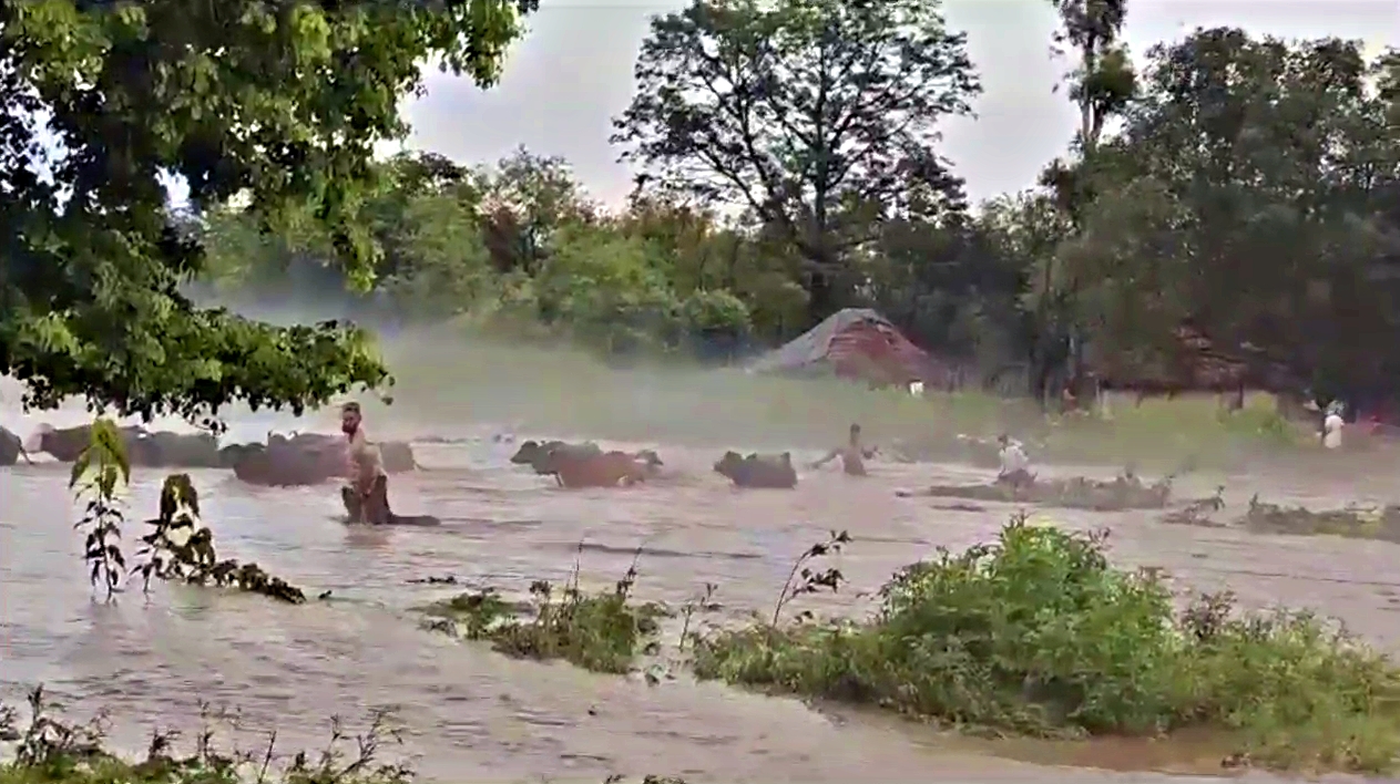 Rescue in Paonta Sahib.