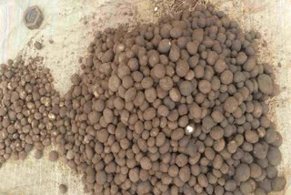 people selling and buying puttu