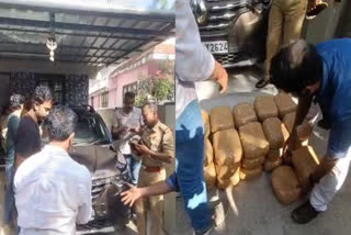 ganja seized in thiruvananthapuram  ganja seized  ganja  cannabis  cannabis seized  drug seized  mdma  പള്ളിത്തുറ  pallithura  തിരുവനന്തപുരം പള്ളിത്തുറ  ലഹരി വേട്ട  പള്ളിത്തുറയിൽ വൻ ലഹരി വേട്ട  തിരുവനന്തപുരം പള്ളിത്തുറ വൻ ലഹരി വേട്ട  കഞ്ചാവ് വേട്ട  കഞ്ചാവ് വേട്ട നാല് പേർ പിടിയിൽ