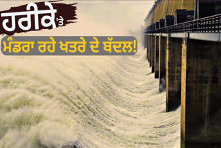 The gates of Harike Head are opened, 1 lakh 68 thousand cusecs water in Harike