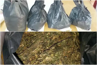 Ganja Selling Students Arrested