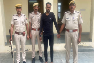Illegal doda sawdust worth Rs 4 lakh seized, one arrested in  Chittorgarh