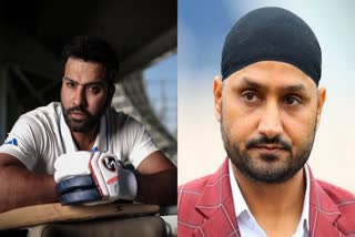 rohit sharma and harbhajan singh