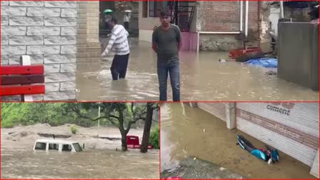 himachal pradesh rain