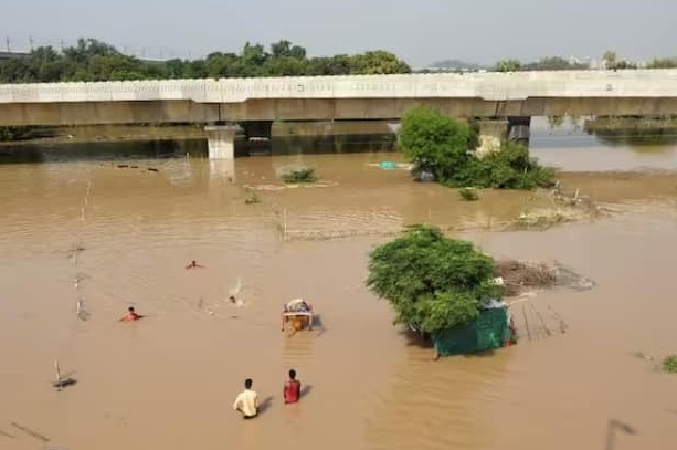 जलस्तर बढ़ने से कई इलाकों में भरा पानी