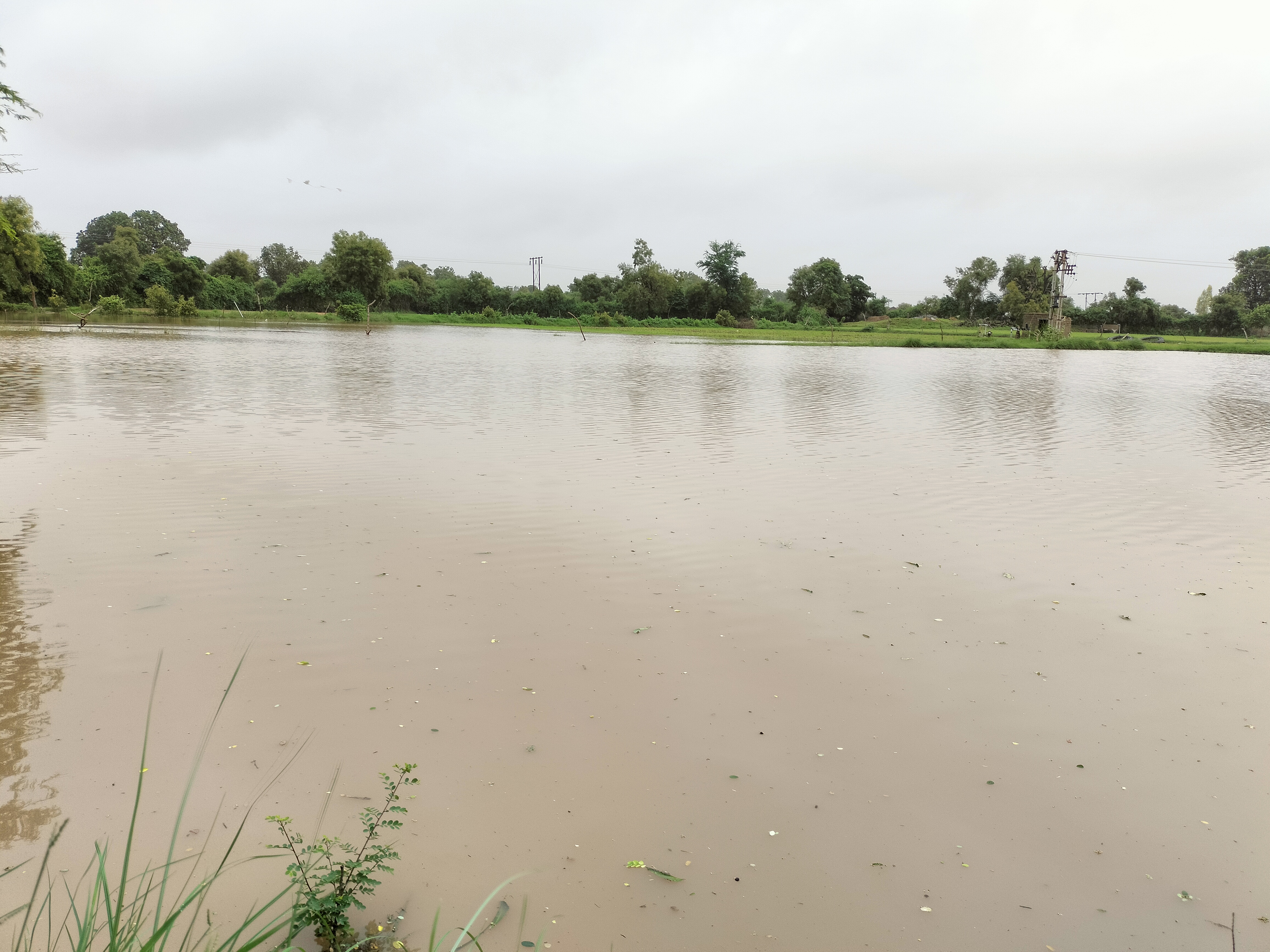 ખેતરોમાં પાણી ભરાયા