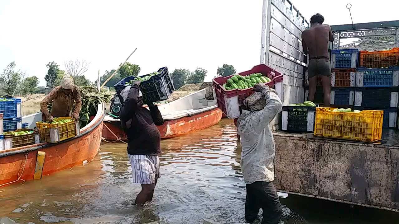 badwani pain of displacement