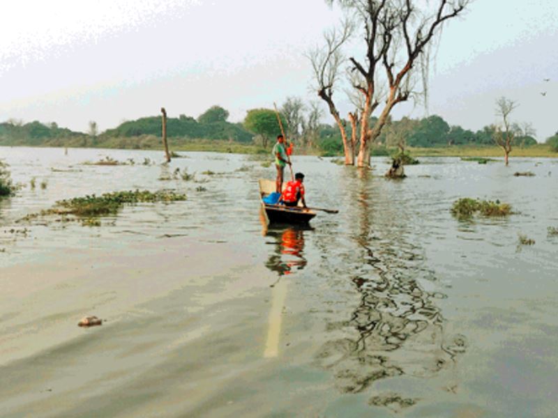 badwani pain of displacement