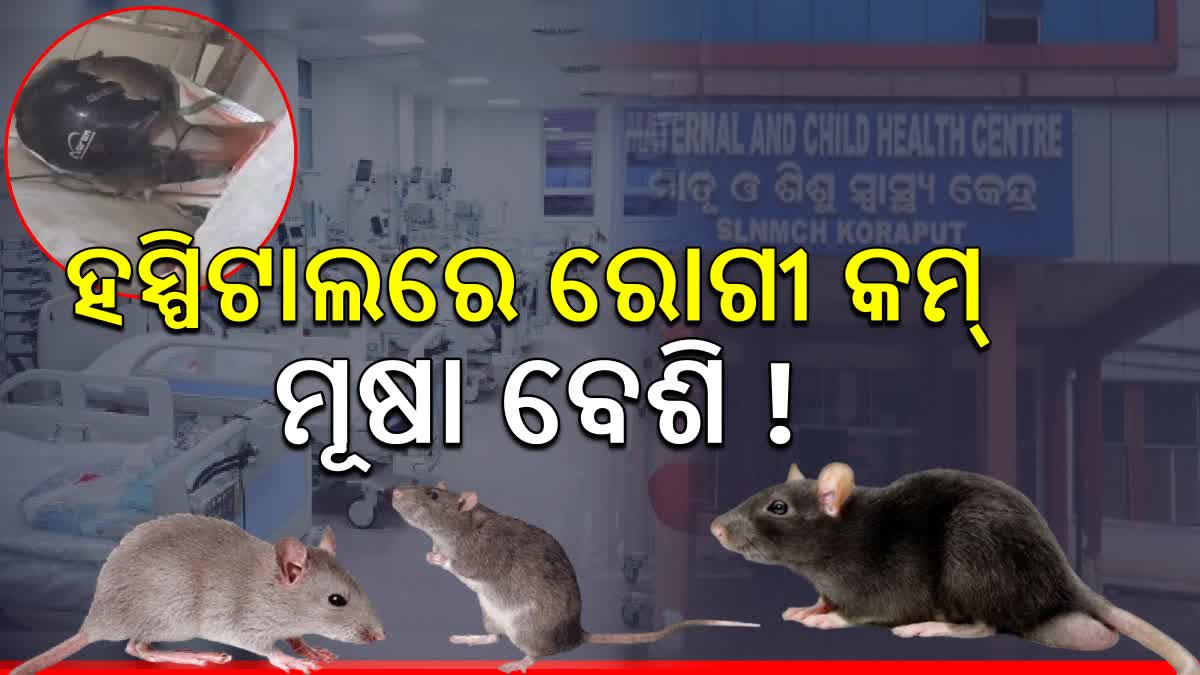 PATIENTS IN FEAR DUE TO RAT