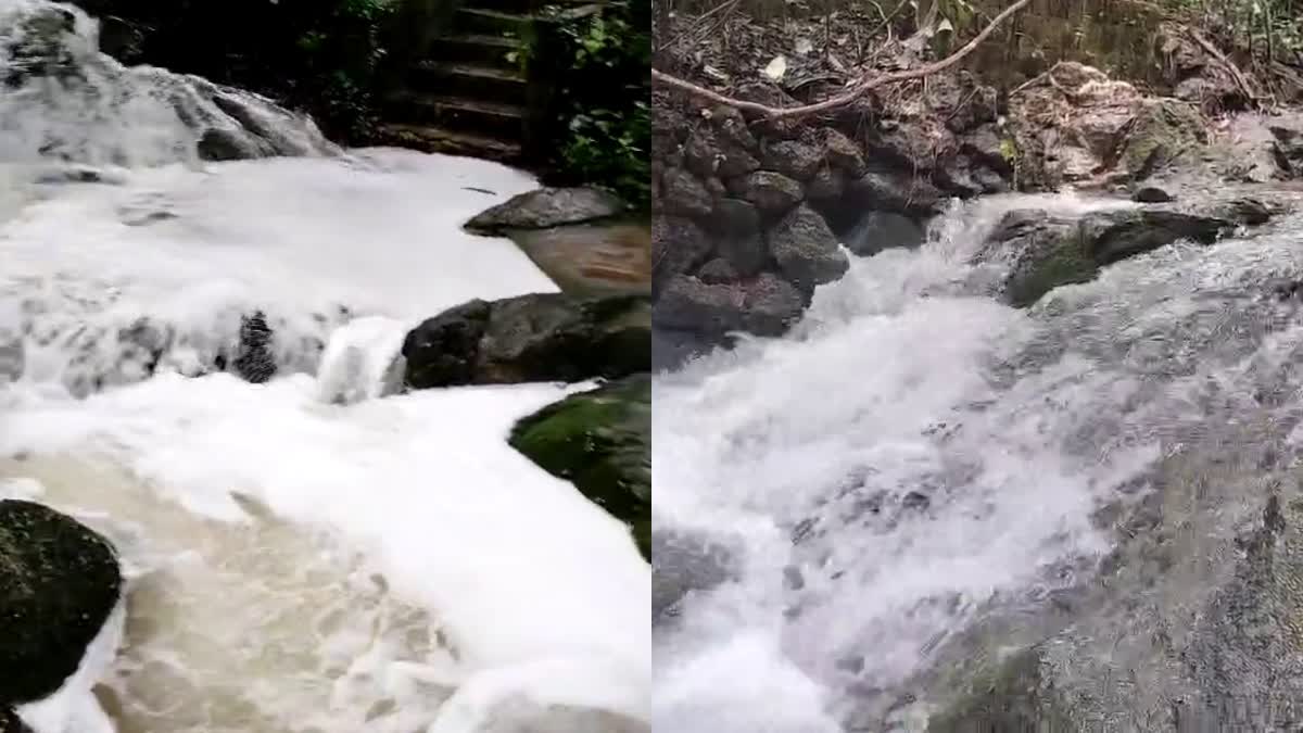 CRUSHER WASTE WAS DUMPED IN STREAM  ALLAKAD STREAM WATER COLOR CHANGED  തോട്ടിലെ വെള്ളത്തിന് നിറവ്യത്യാസം  തോട്ടിൽ മാലിന്യങ്ങൾ