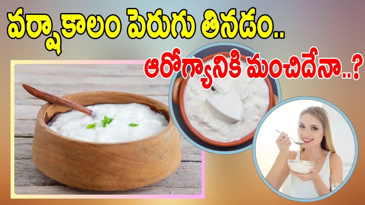 CAN WE EAT CURD IN RAINY SEASON