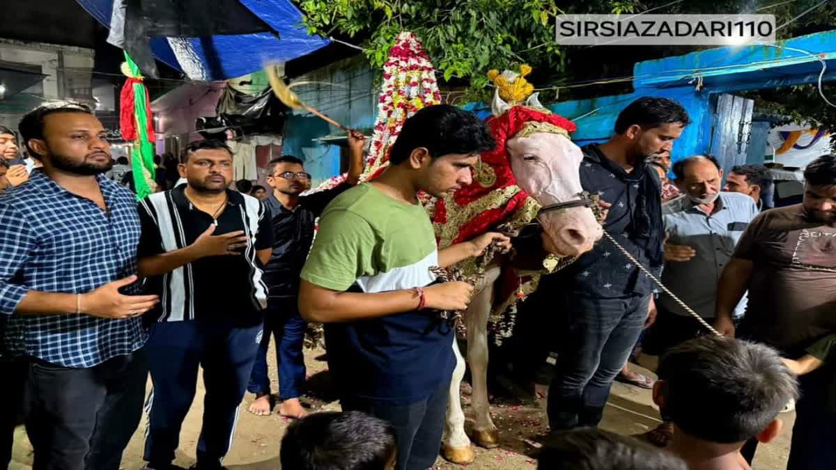 A procession of Shabih Zul Jinnah was taken out in Sirsi of Sambhal