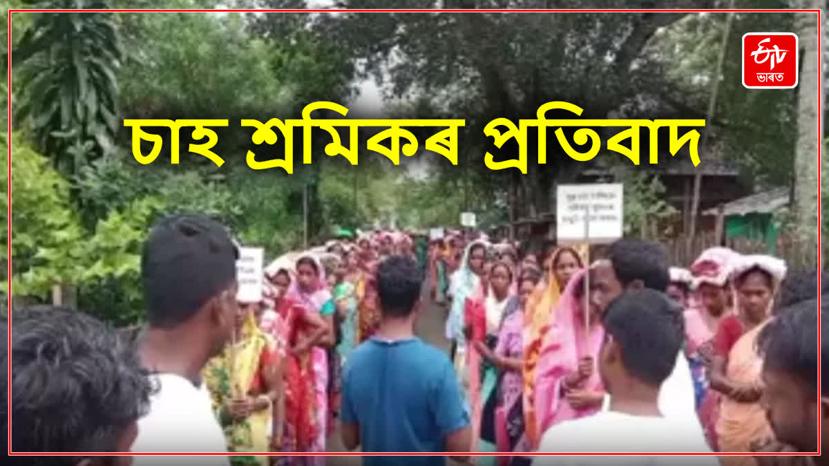 Tea Workers Protest in Golaghat
