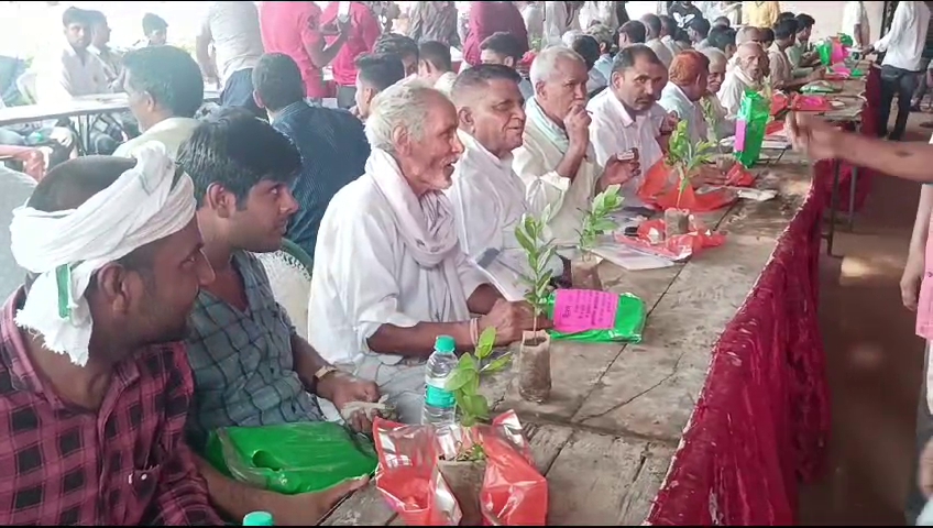 Bride Father Give plants In Wedding