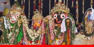 Shri Shri Hari Baladev jew bije  Rath Yatra
