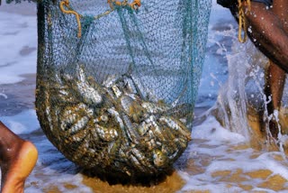 National Fish Farmer's Day