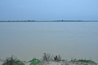 Bihar Rivers Water Level