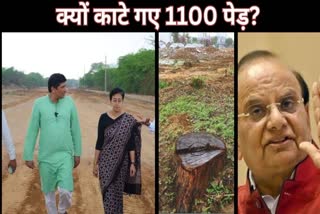 DELHI 1100 TREES CUTTING