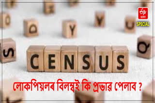 Delay of Census and Its Impact