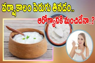 CAN WE EAT CURD IN RAINY SEASON
