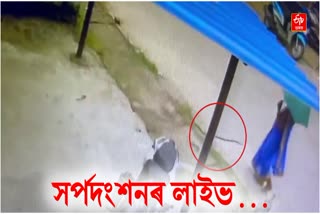 GOLAGHAT SNAKEBITE CASE