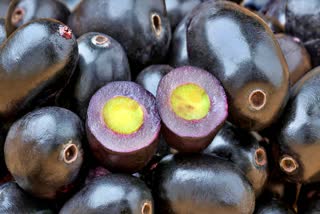 What happens if we eat jamun seed?