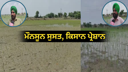 sluggish monsoon in Punjab