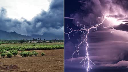 RAIN IN CHHATTISGARH