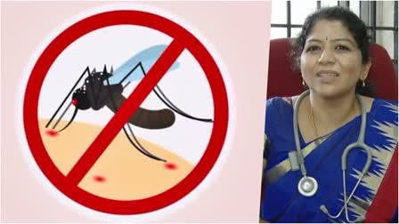 DR SHUBHA OPINION ABOUT DENGUE