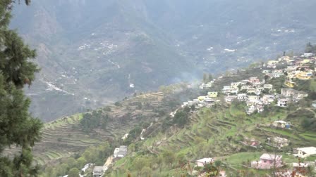 Pauri