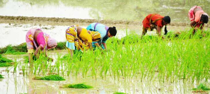 Unique tradition of Chhattisgar