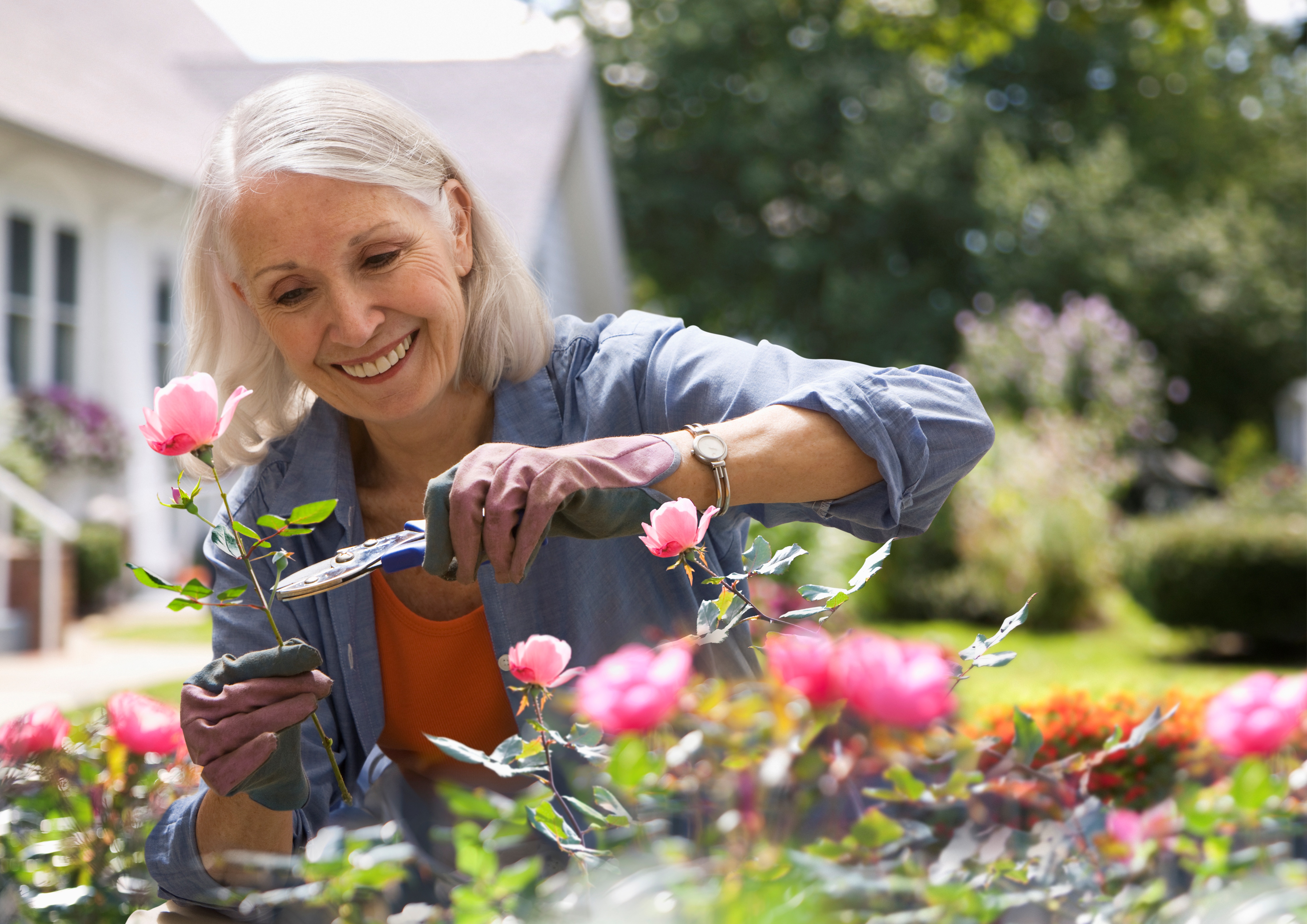 Tips to Protect Plants in Monsoon