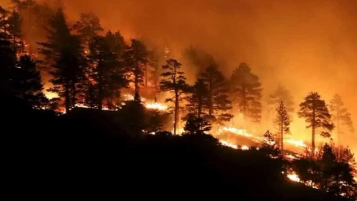 Wildfires in Hawaii