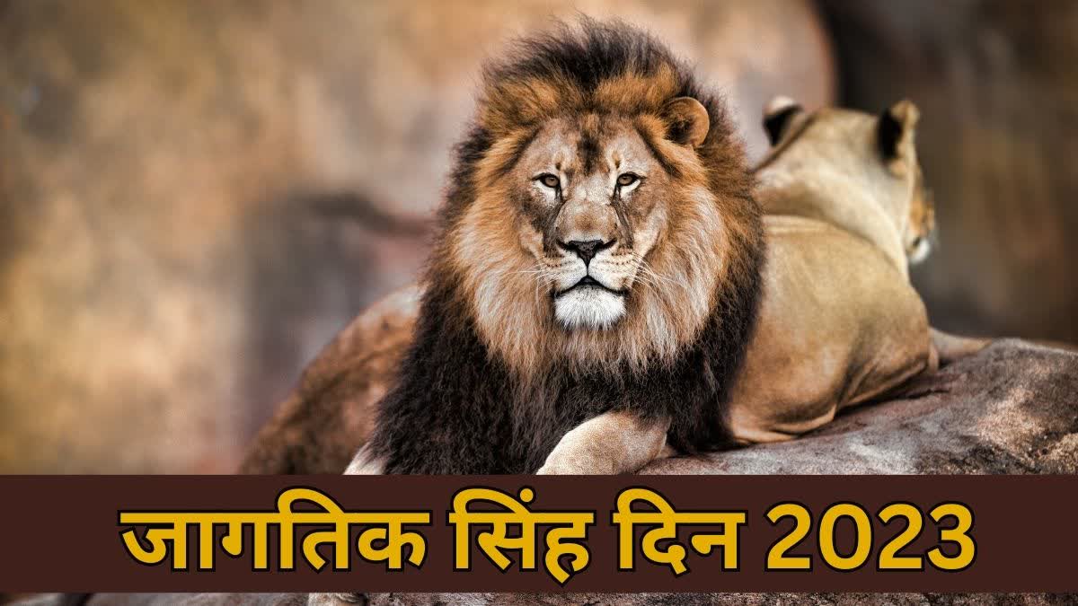 World Lion Day 2023