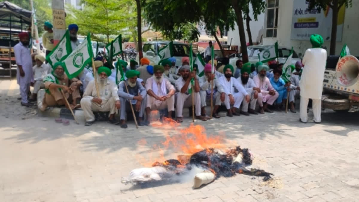 Demanding compensation for the flood victims, BKU Sidhupur took out a protest march and blew up the effigy of the government.