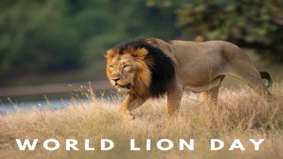PM Modi Tweet on World lion Day