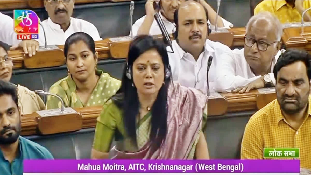 Mahua Moitra and TMC MP Protesting Outside Parliament Against