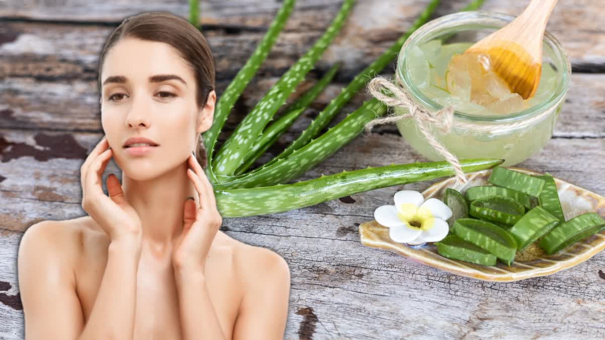 Aloe Vera for Skin Care News