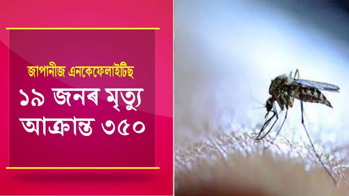 Japanese encephalitis in Assam