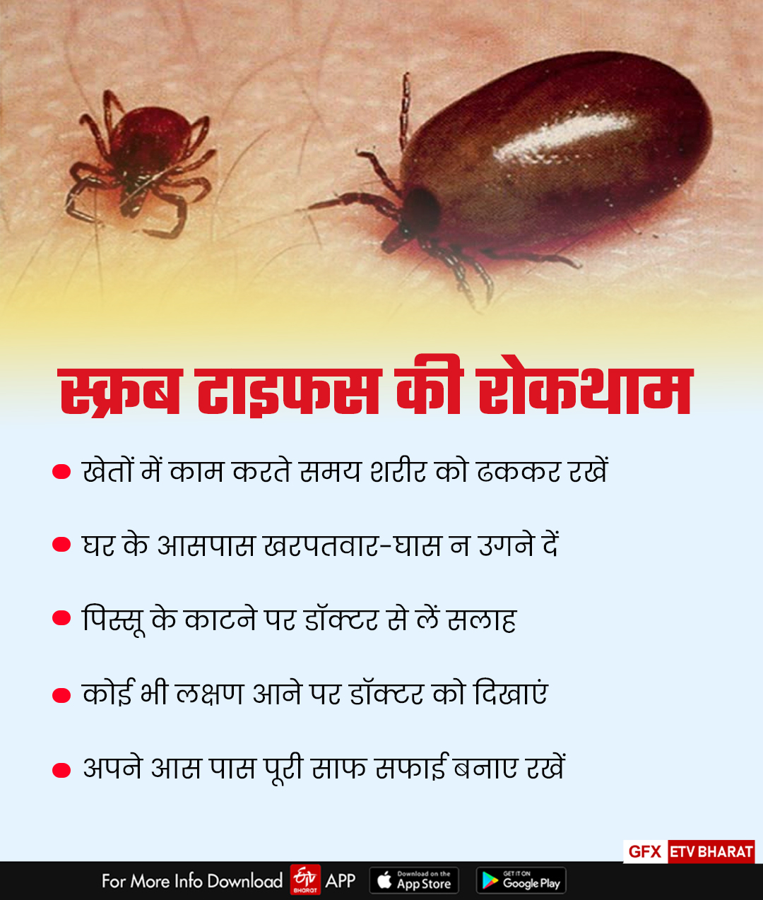 Scrub Typhus in Himachal.