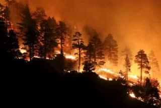 Wildfires in Hawaii