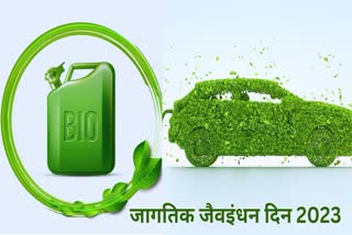 World Biofuel Day 2023