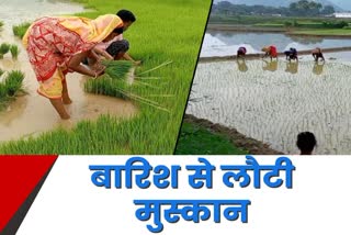 Farmers engaged in farming due to rain in Bokaro