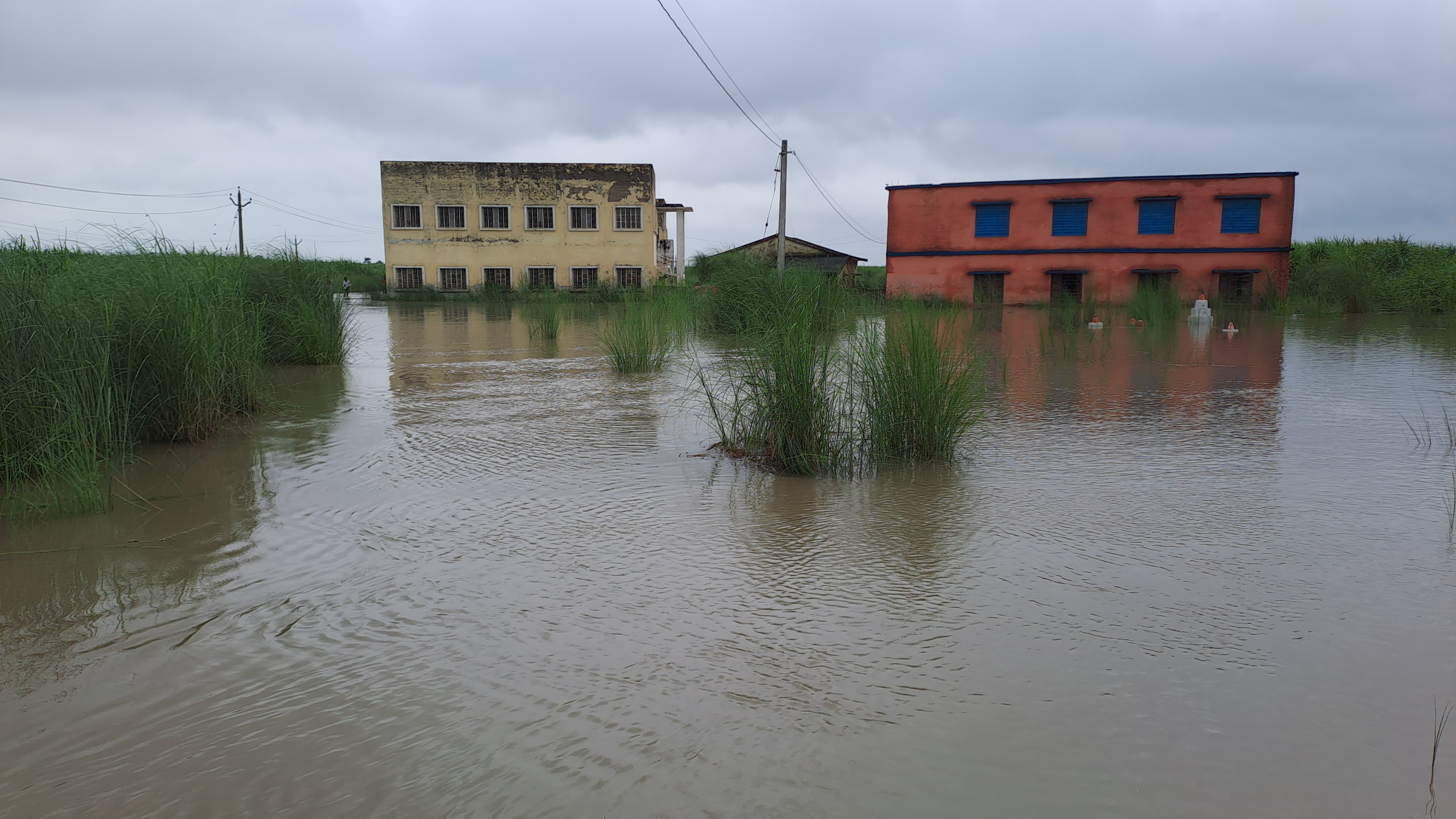 बाढ़ के पानी में घिरा स्कूल.