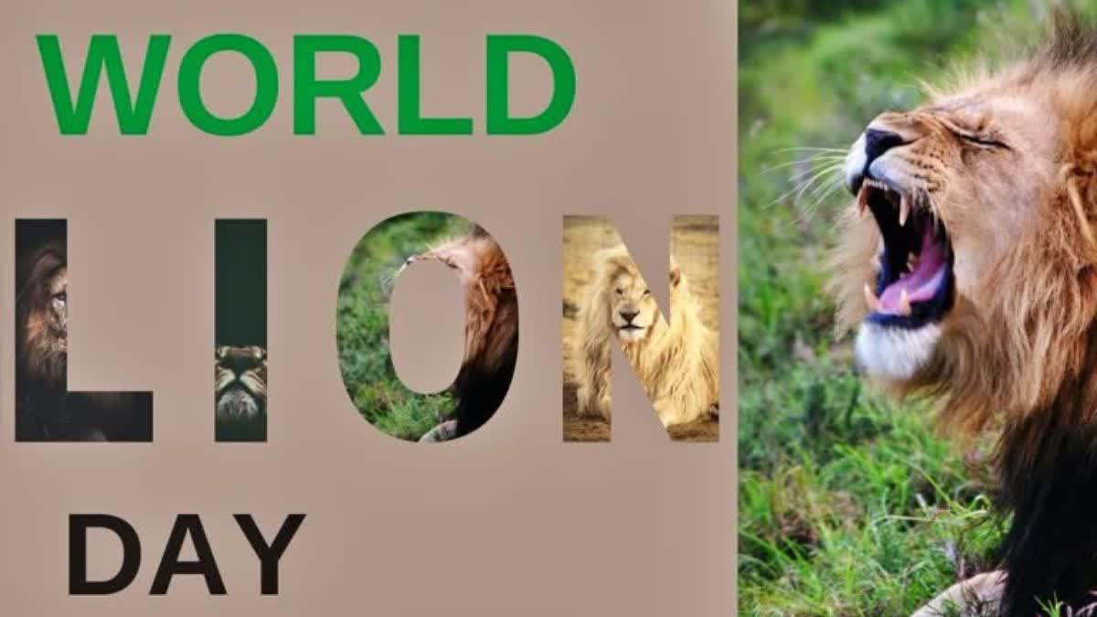 world lion day special